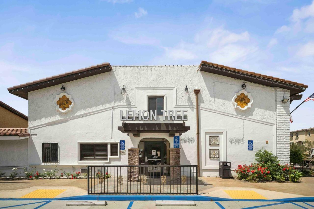 The Lemon Tree Hotel Anaheim Exteriör bild